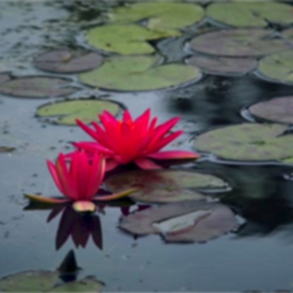 Denys Oscar Jacobsen