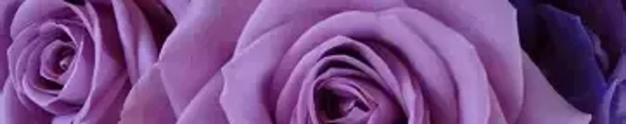 Cover photo for Carolyn N. Bullock's Obituary