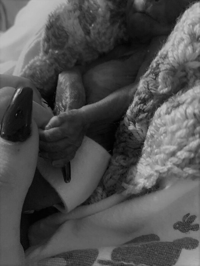 Stephen Ray Hartings