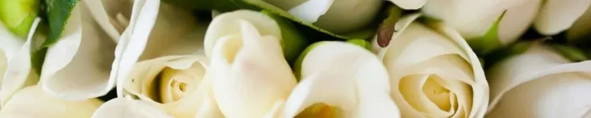 Cover for Linda J Harbin's Obituary
