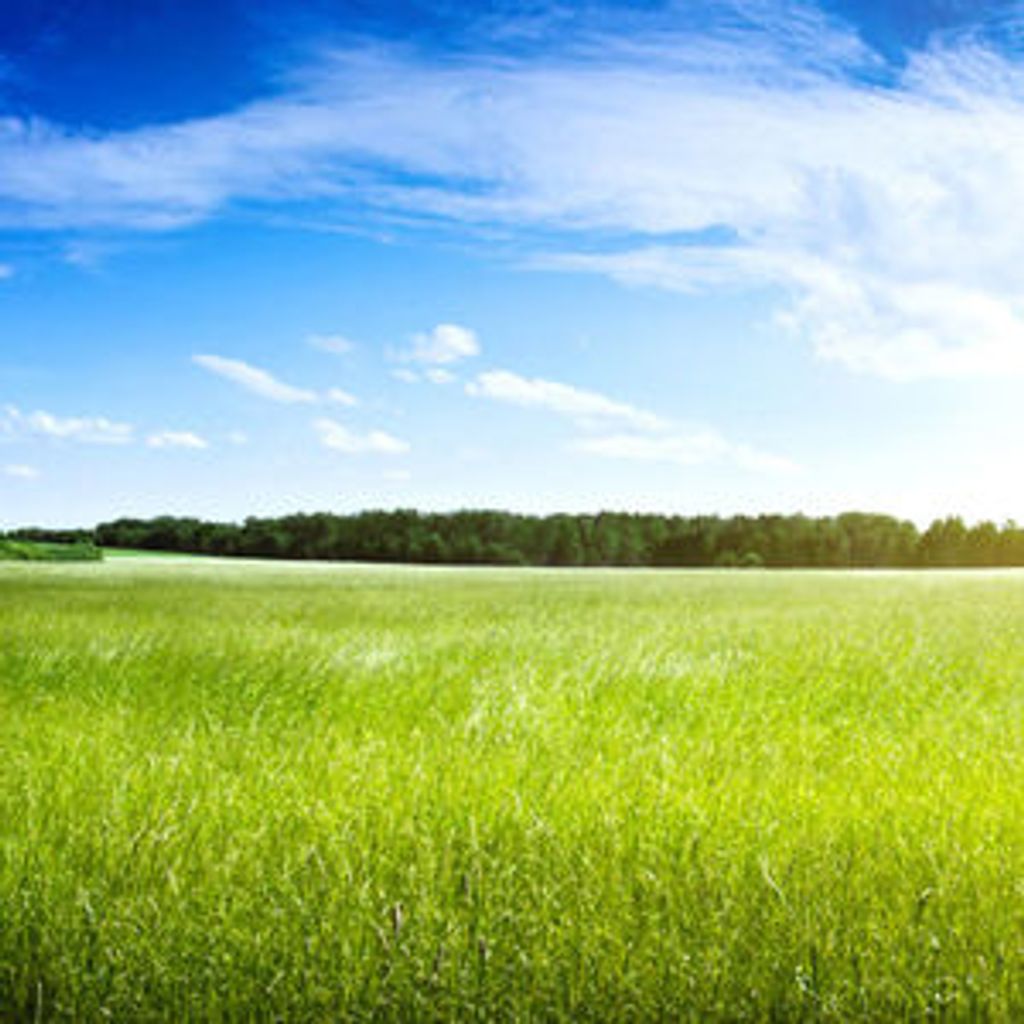 Mr. Charles "Charlie" Henson