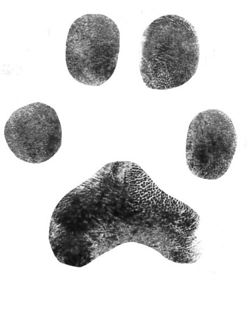 Marleigh DeCook Profile Photo