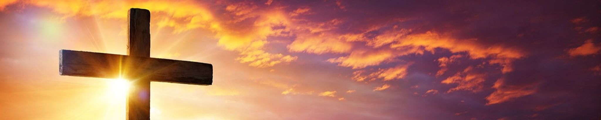 Cover photo for Javier Torres's Obituary