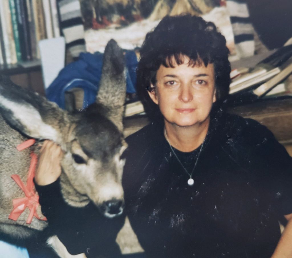 Margery "Dutch" E. (Winninghoff)  Metesh Profile Photo