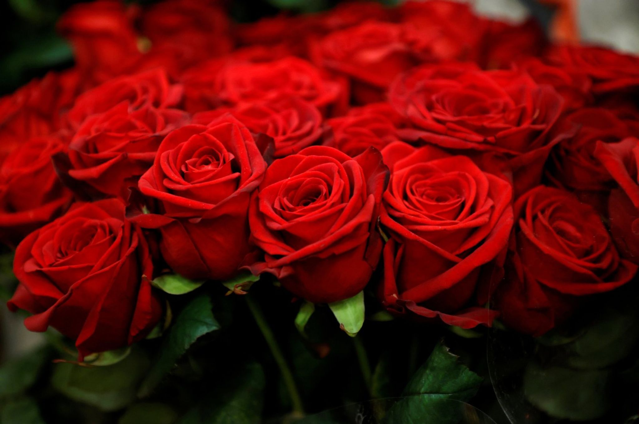Cover photo for Virginia Ann Moss's Obituary