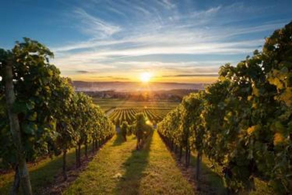 Dennis A. Kornaus Profile Photo