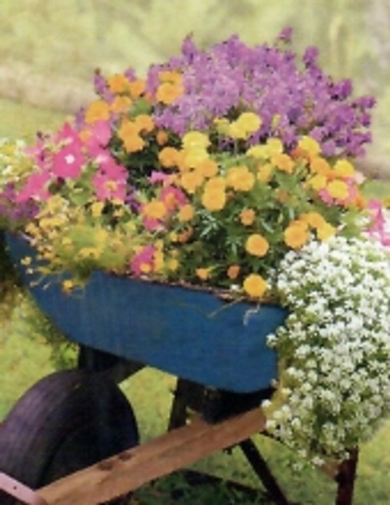 Alice Gail Salladay Saxon