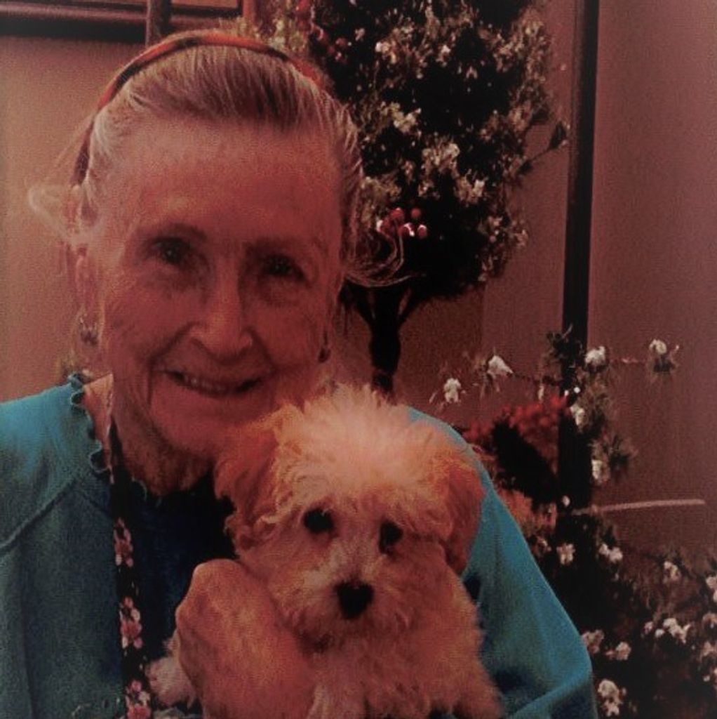 Lita Grey (Bost)  Sheffield