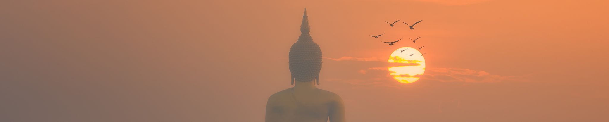 Cover for Muoi Luu's Obituary