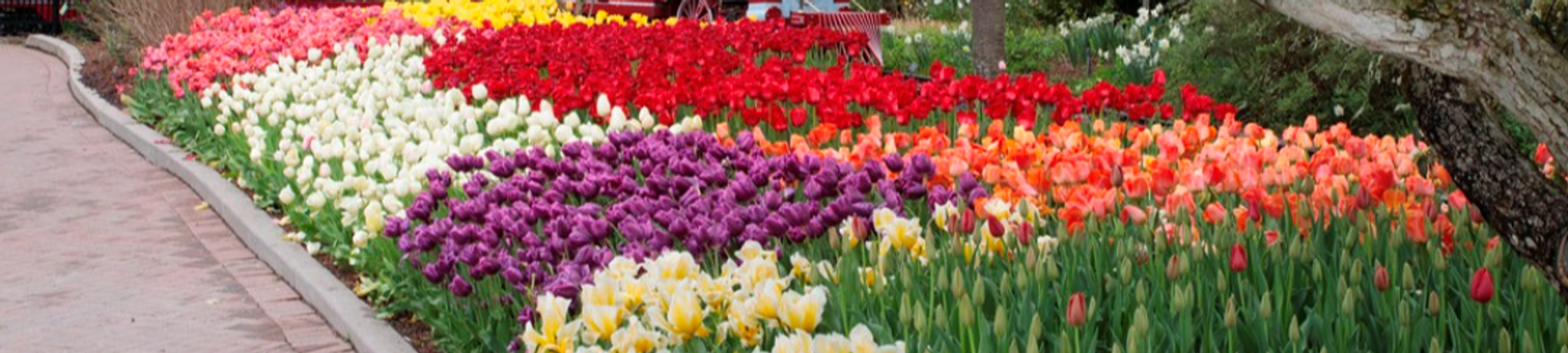 Cover for Benjamin Karl Stiehl's Obituary