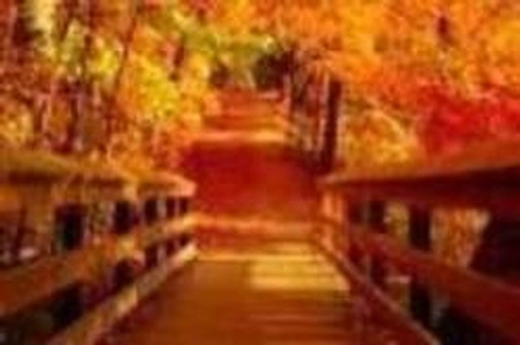 Sherry Neeley