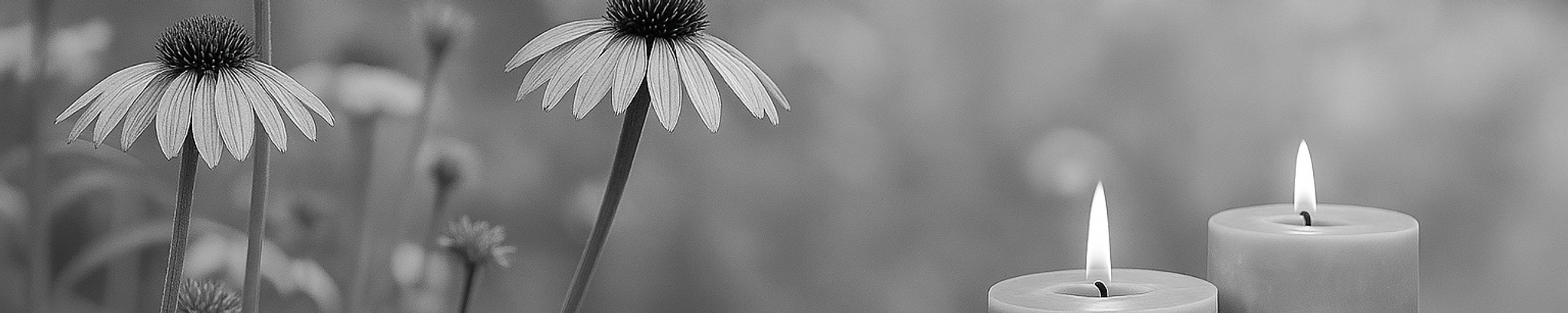 Cover photo for Audrey Zaron's Obituary