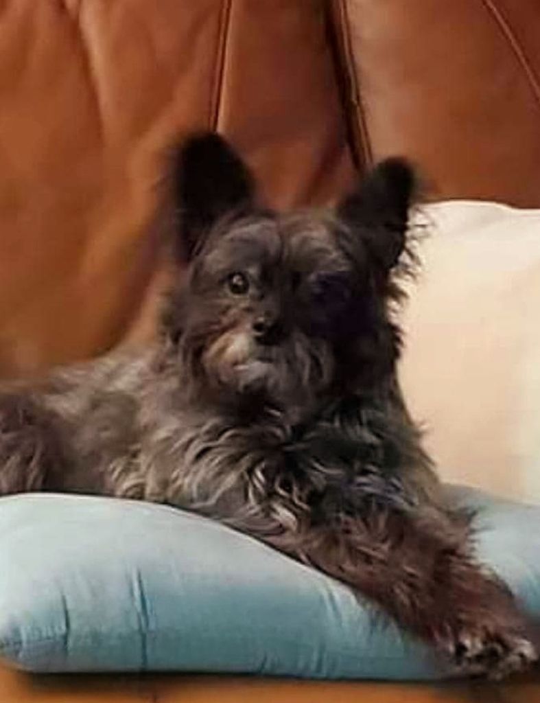 Tinkerbell Stewart Profile Photo