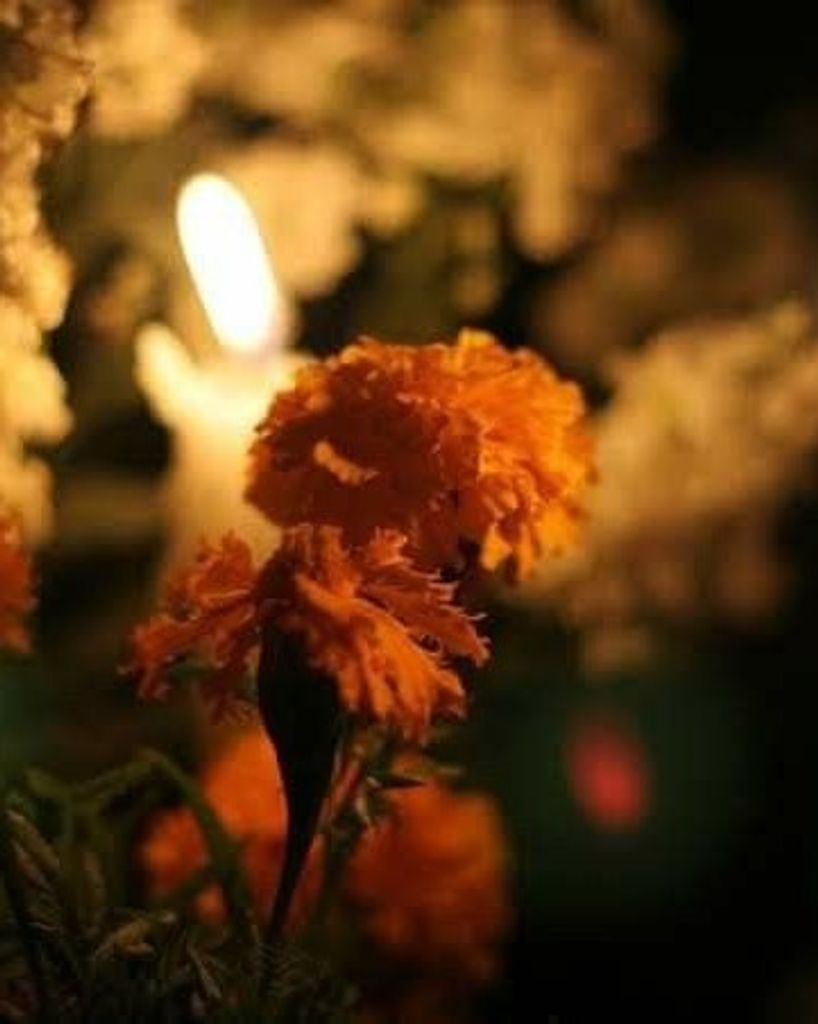 Dia de los Muertos
