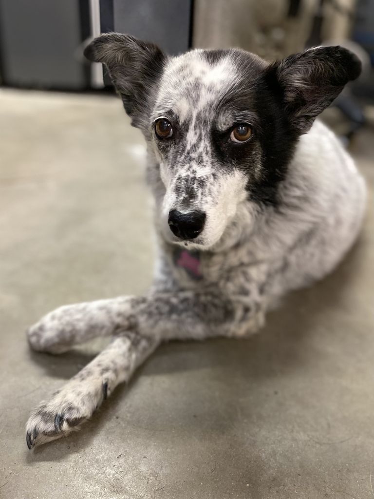 Ellie Mae Profile Photo