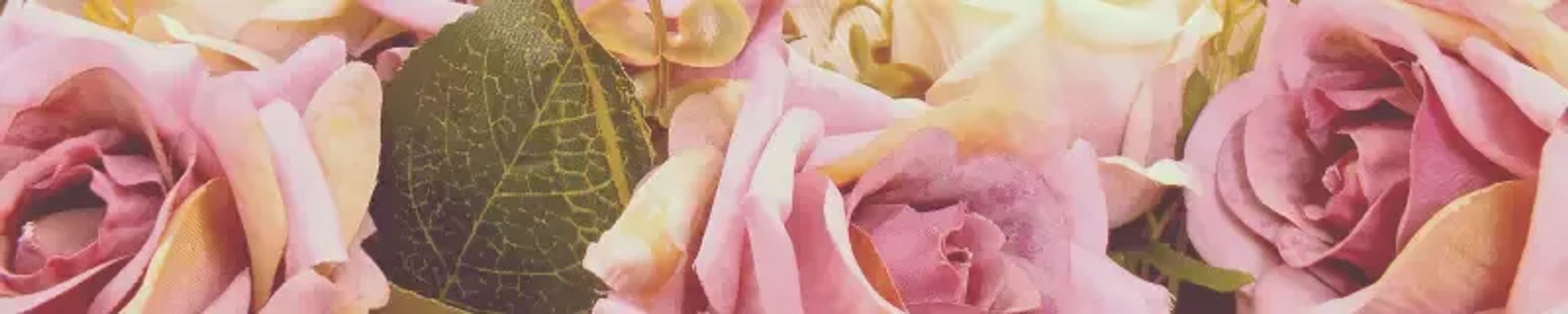 Cover photo for Edith E. (Angelillo) Giordano's Obituary