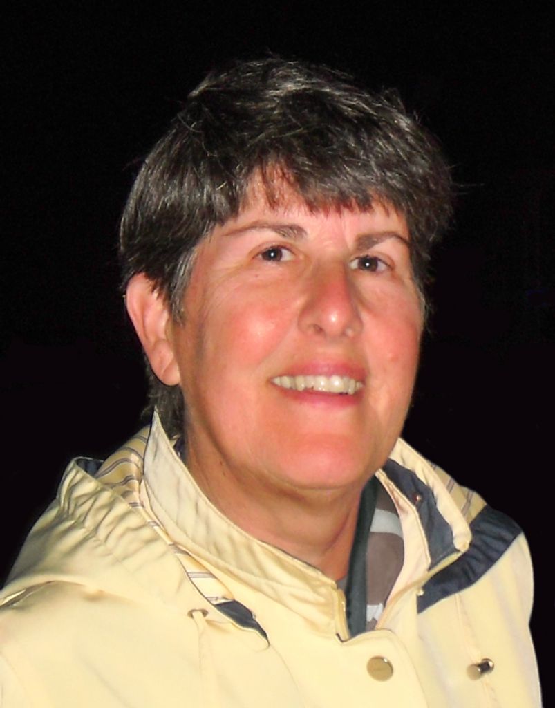 Susan (Dreyer)  Mccormick Profile Photo