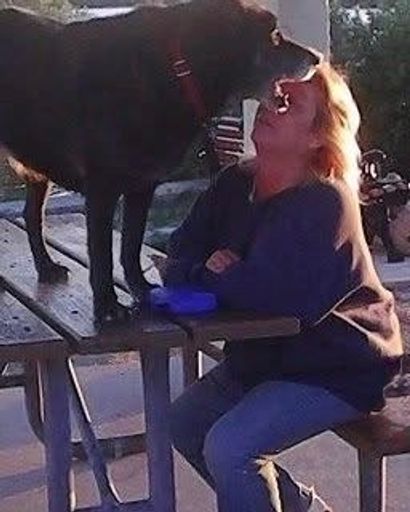 Lisa Jayne Vayre's obituary image