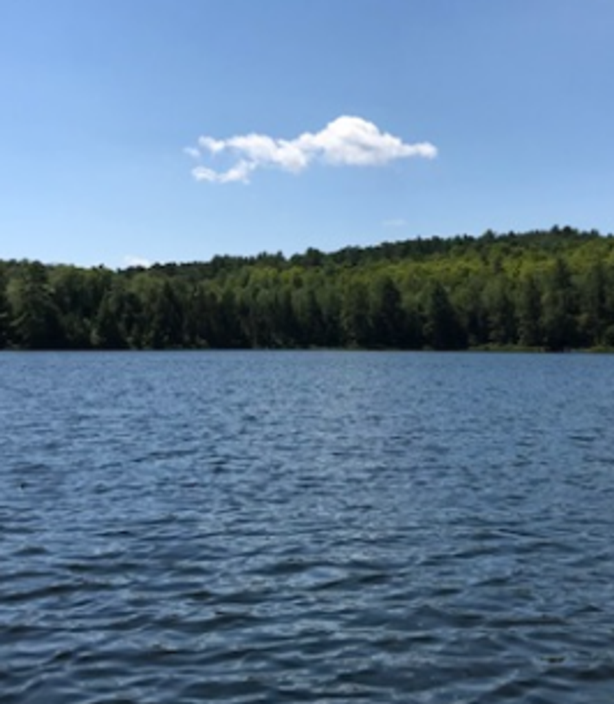 Gui Dessert Profile Photo