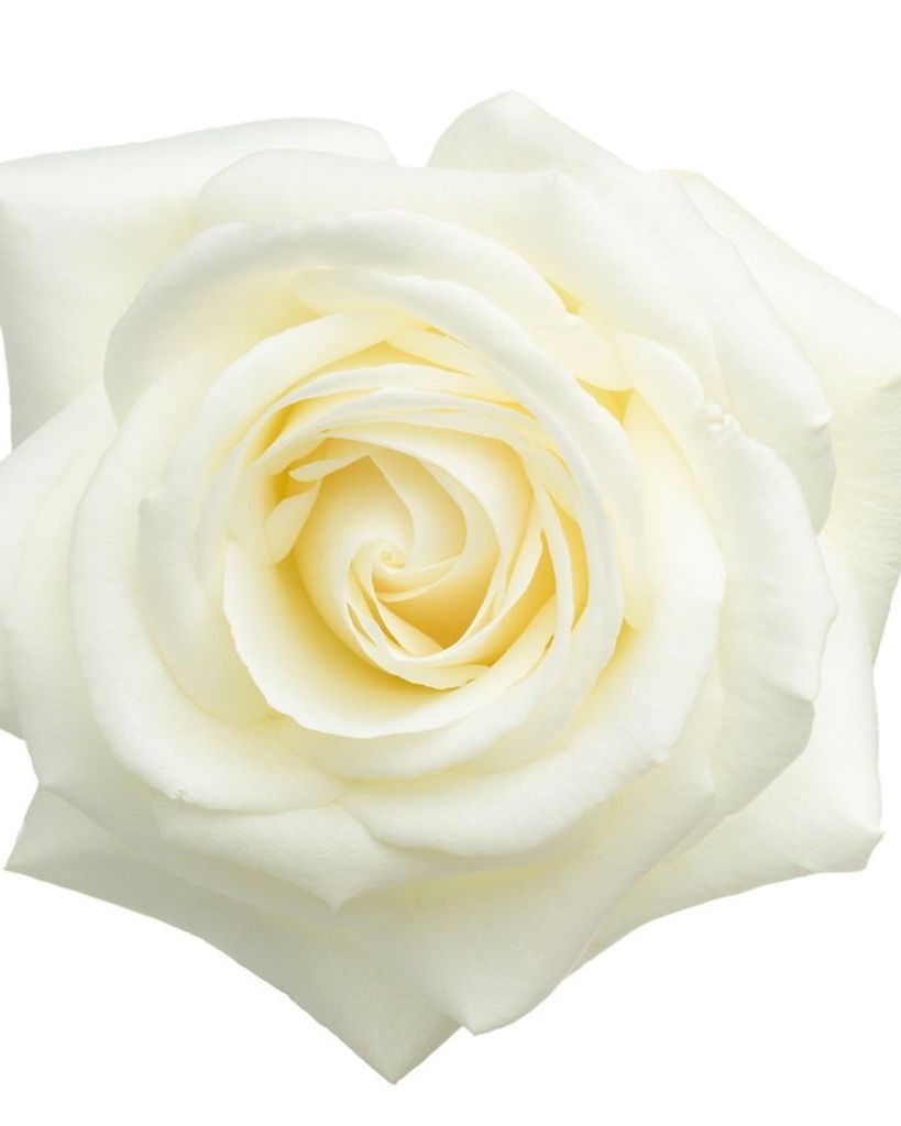 Flossie Smith Heppard