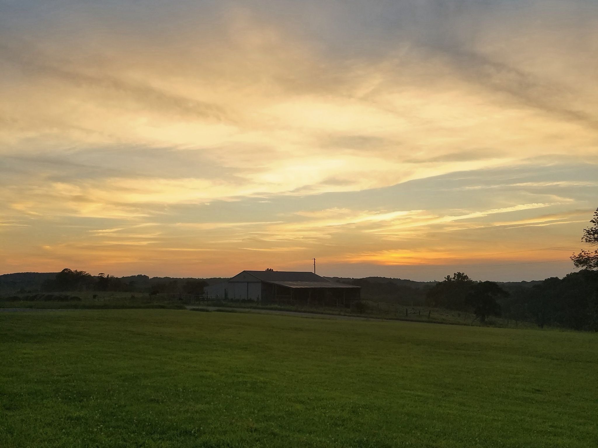 Cover for Barbara Jane Reed's Obituary