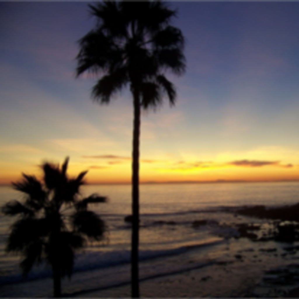 Barbara Joyce Conway