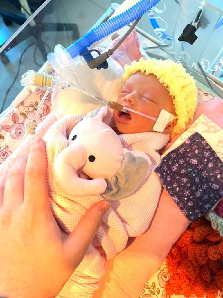 Ainsley Kaye Pierce Profile Photo