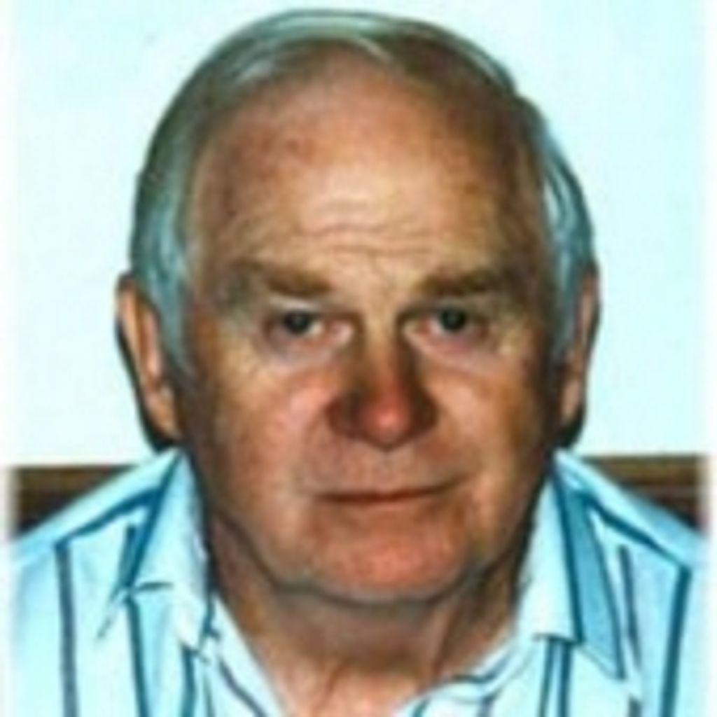 Virgil L. Roness