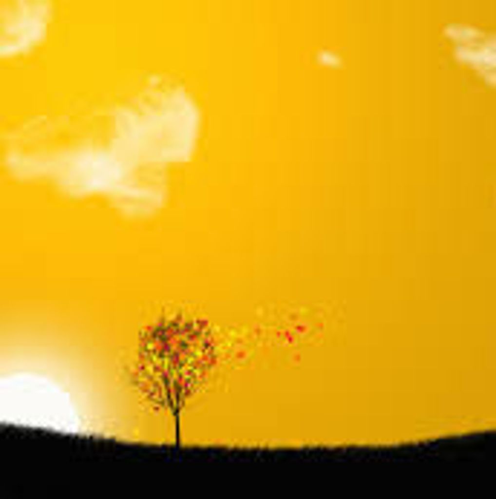 Anna Katherine Morss