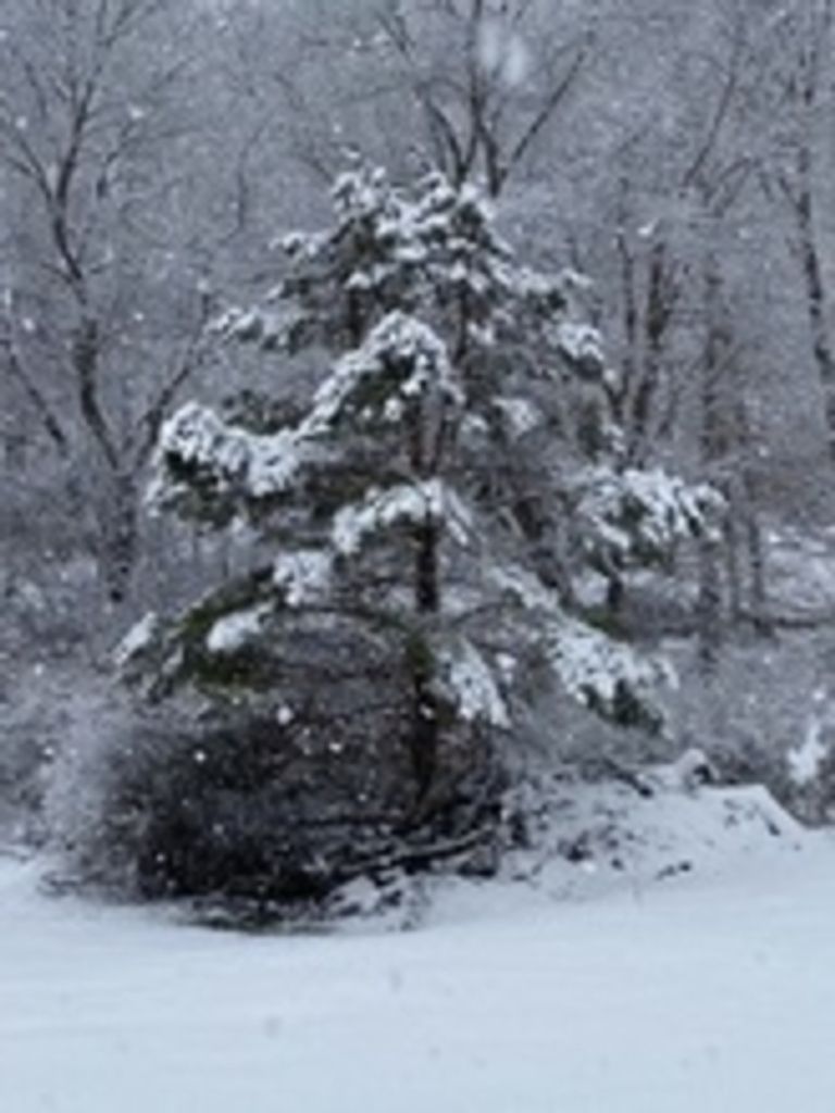 Thomas Miller Profile Photo