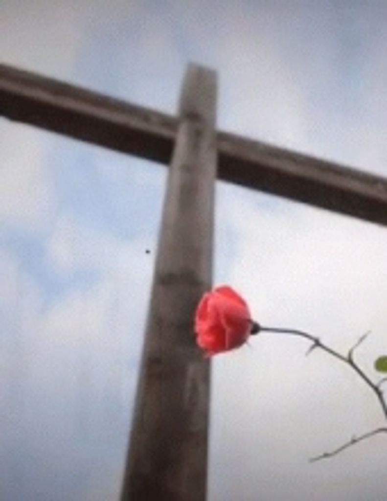 Stephen Ralph Maynard -Glbfg