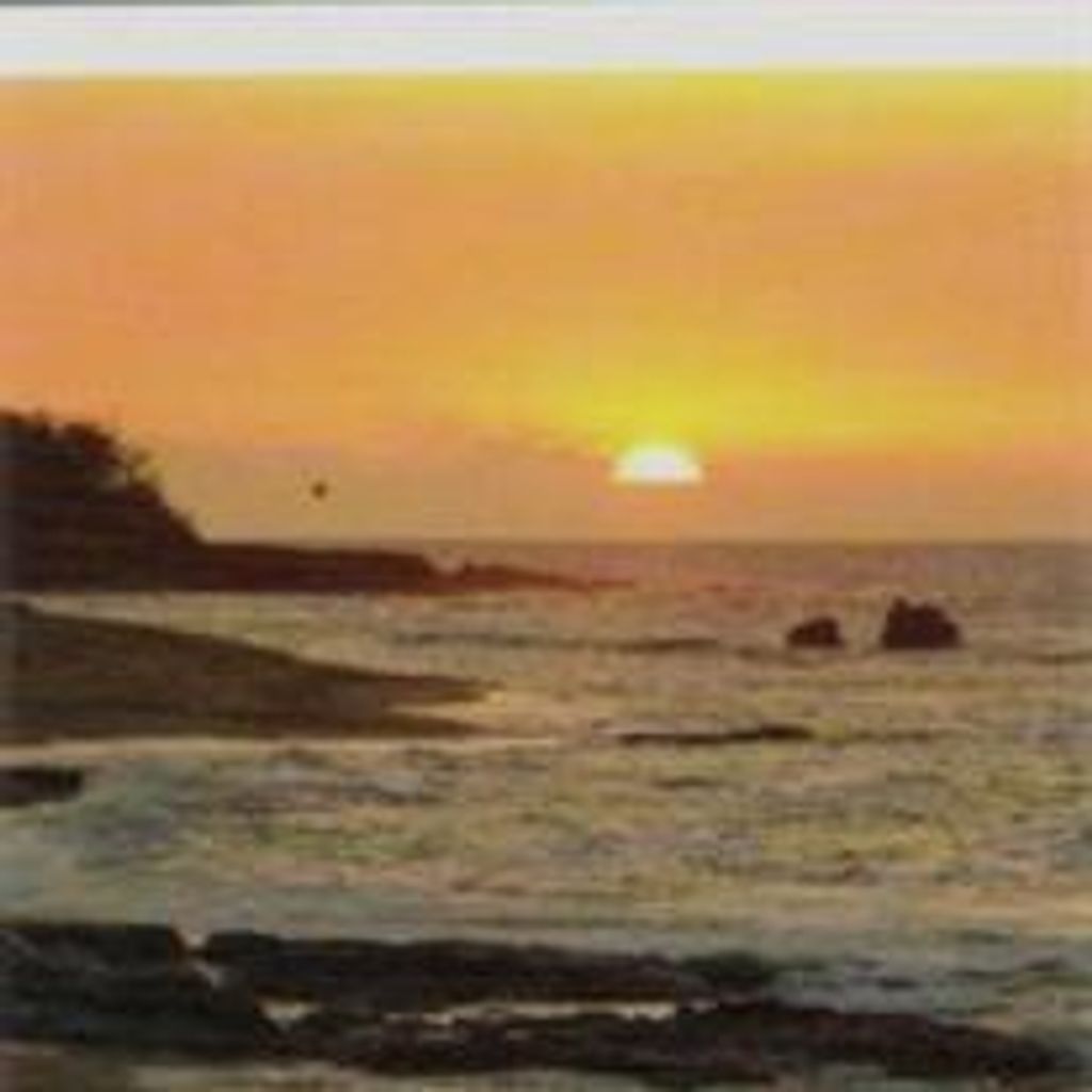 Debbie O'Connor Profile Photo