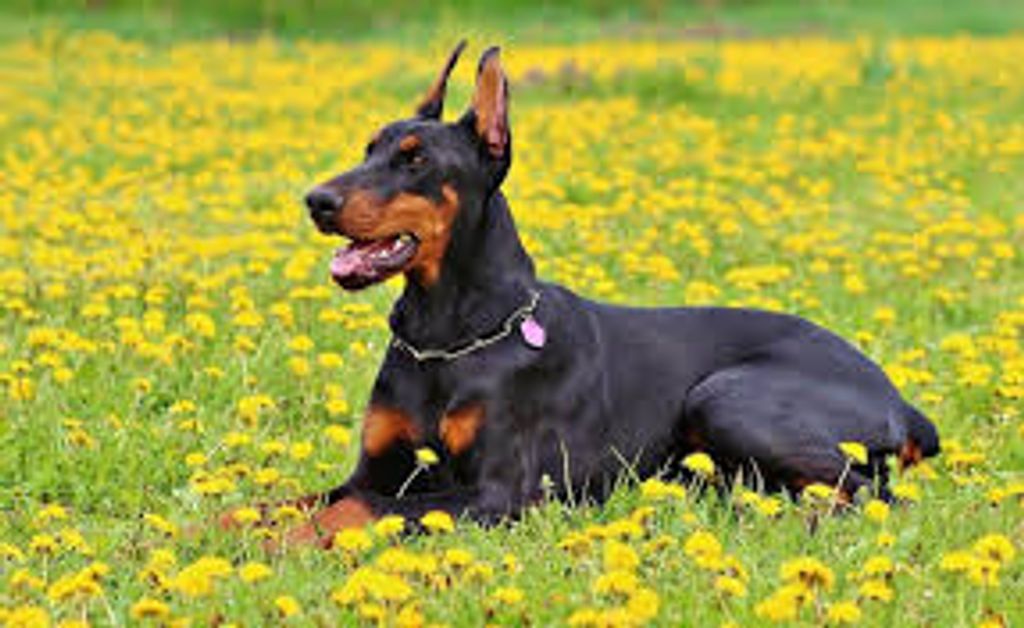 Mandy Mae Profile Photo