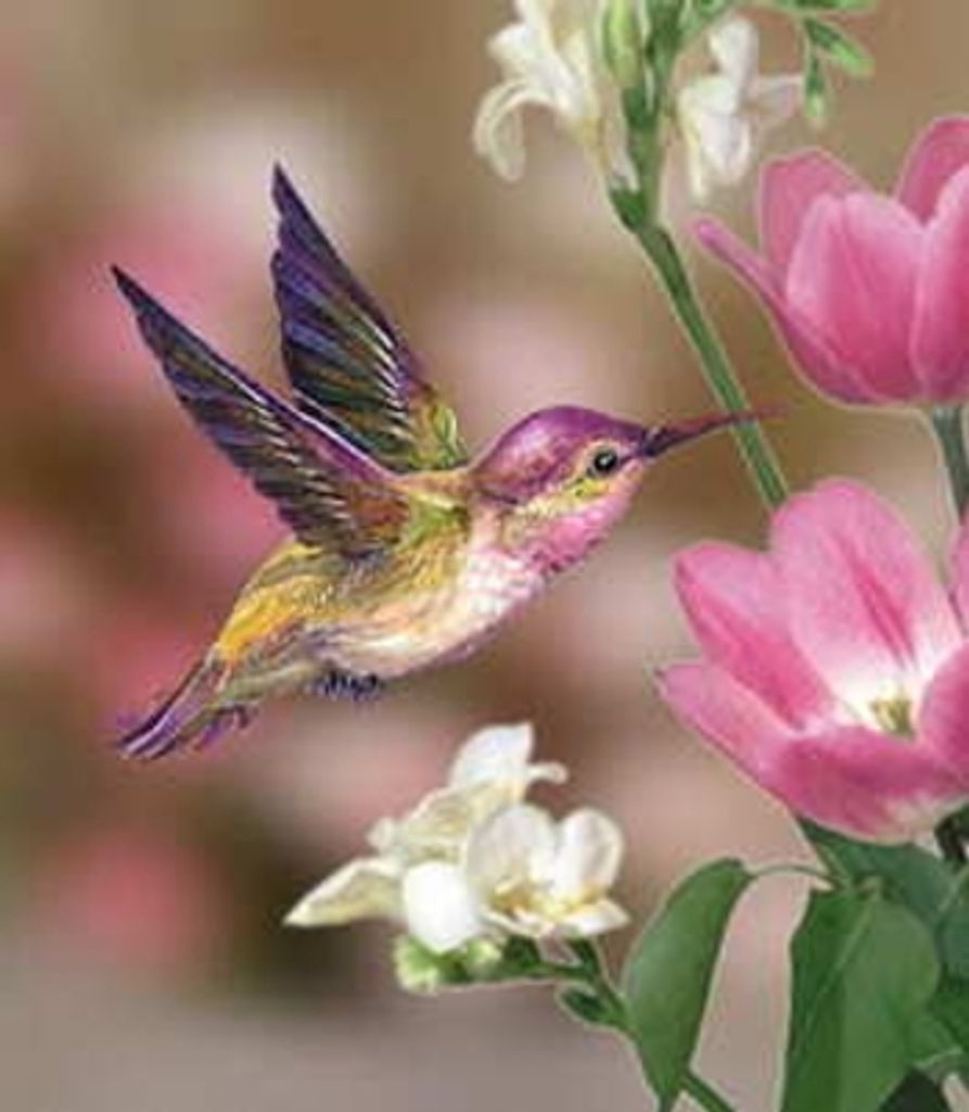 Betty Louise Cable Jr.