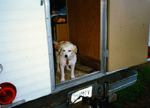 Sidney R. Kent photo gallery thumbnail 40 of 109