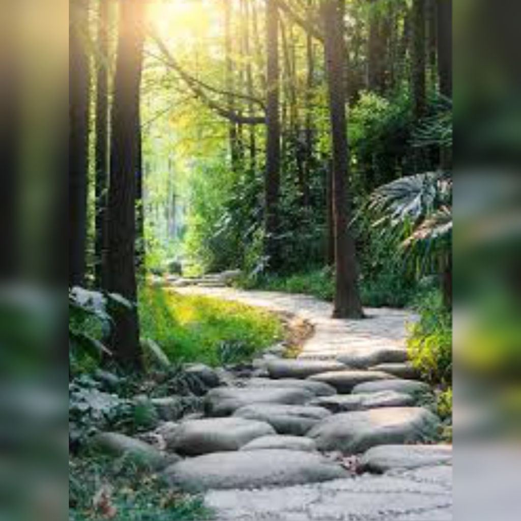 Virginia Jewel Clinton Profile Photo