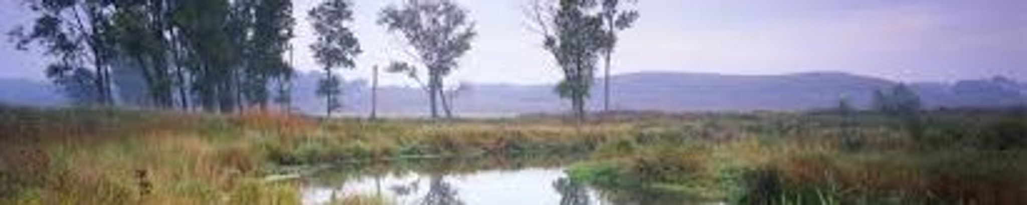 Cover for George D. Johnson's Obituary