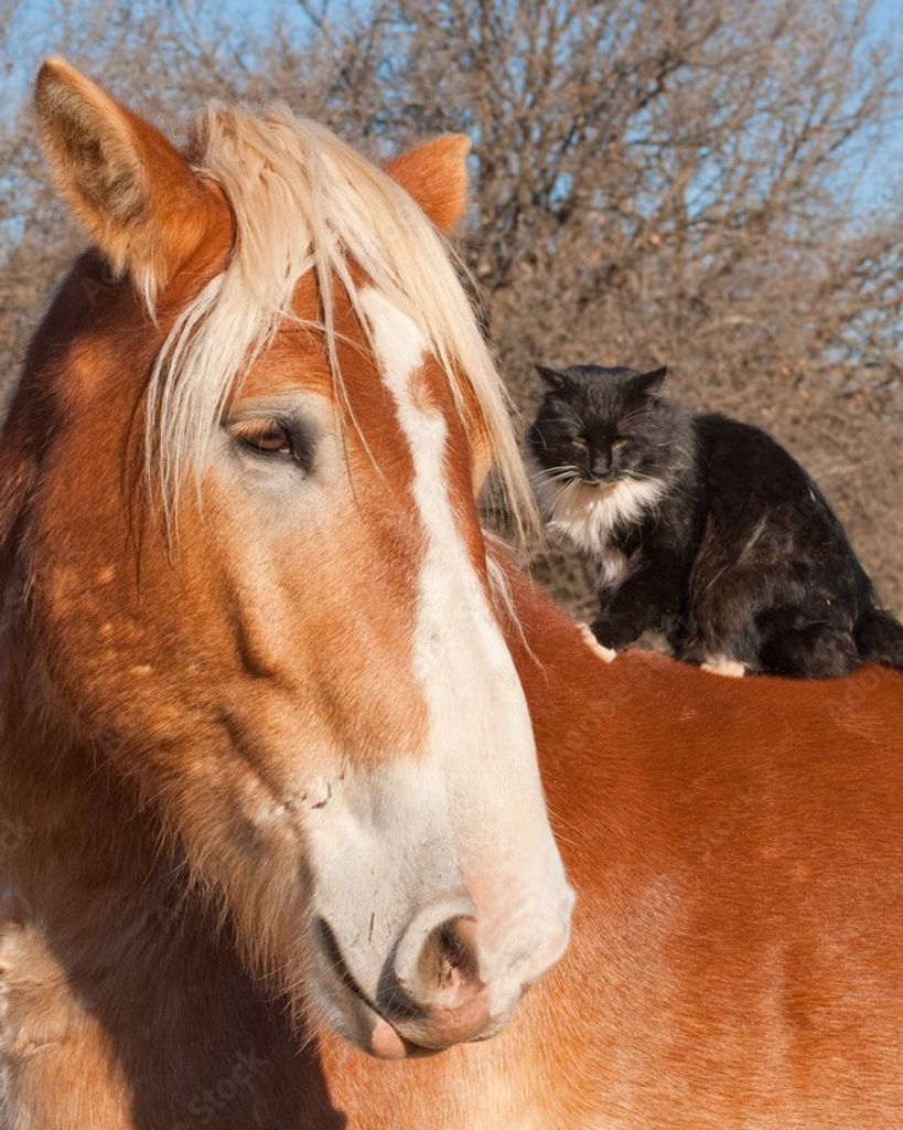 Terry Winkley Veillon