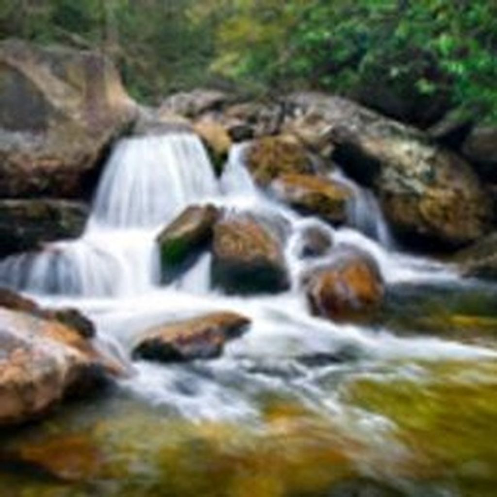 Andrew W. Calvin, Jr.