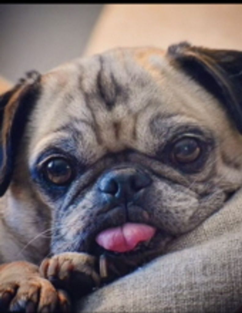 Ruffus Long