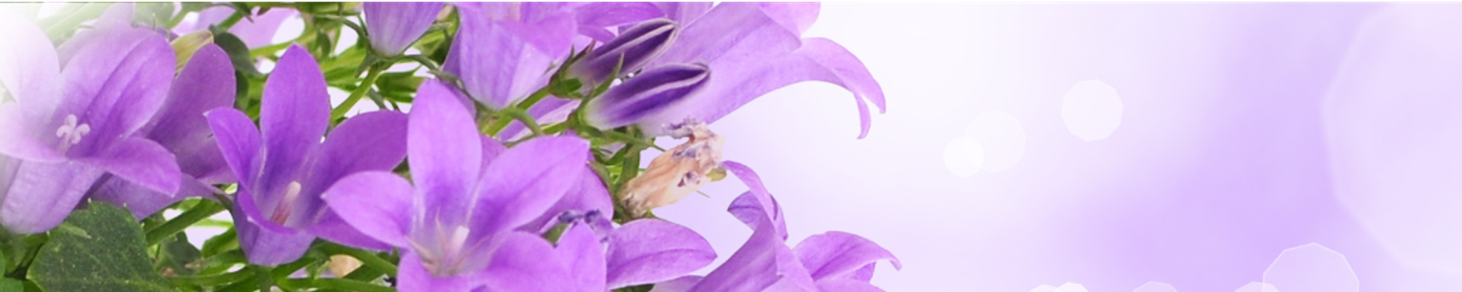 Cover photo for Bonnie Earl Johnson's Obituary