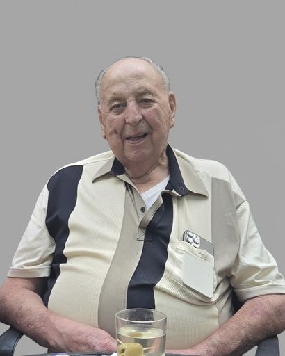 Denis Lucius Bielick's obituary image