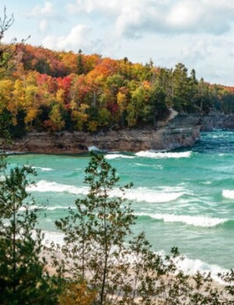 James Vernon Mcfall Profile Photo