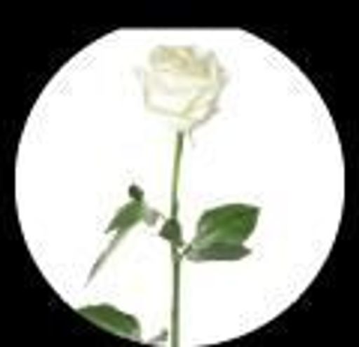 Mary Kathryn Johnson Kays Profile Photo
