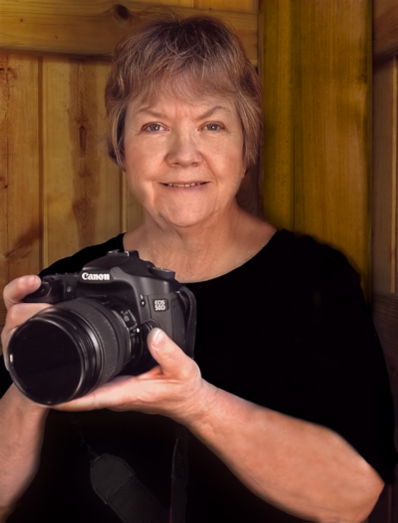 Rebecca James Profile Photo