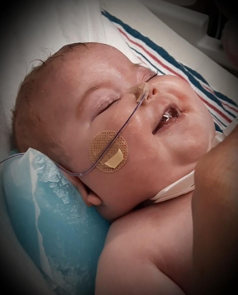 Fiona Renee Hogue