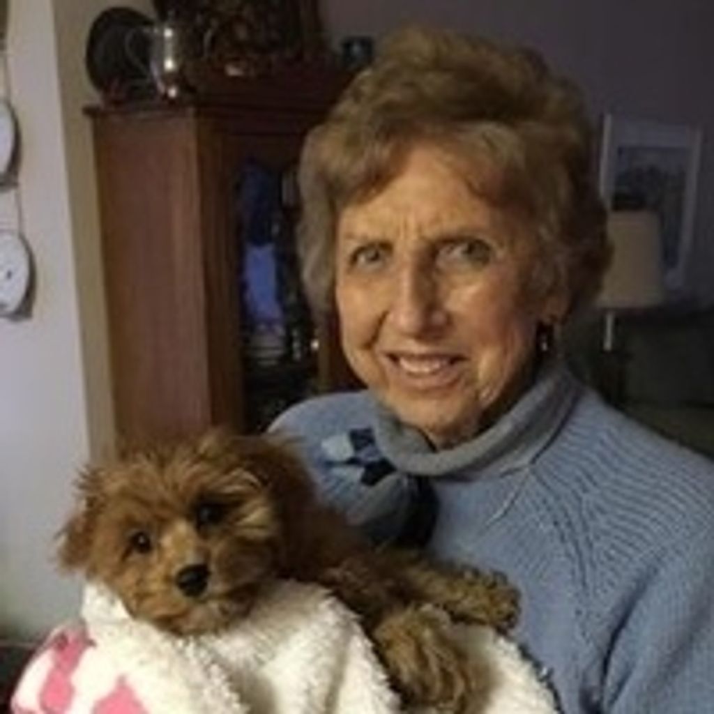 Mary Ann Zorn