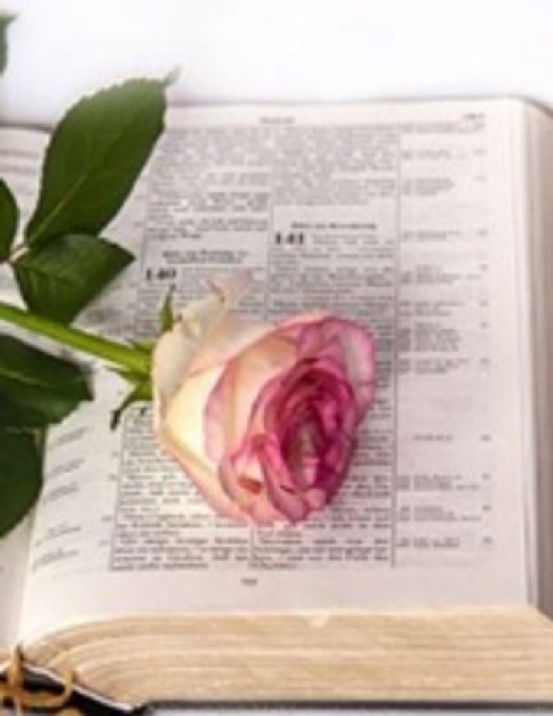 Sandra Maness Thacker