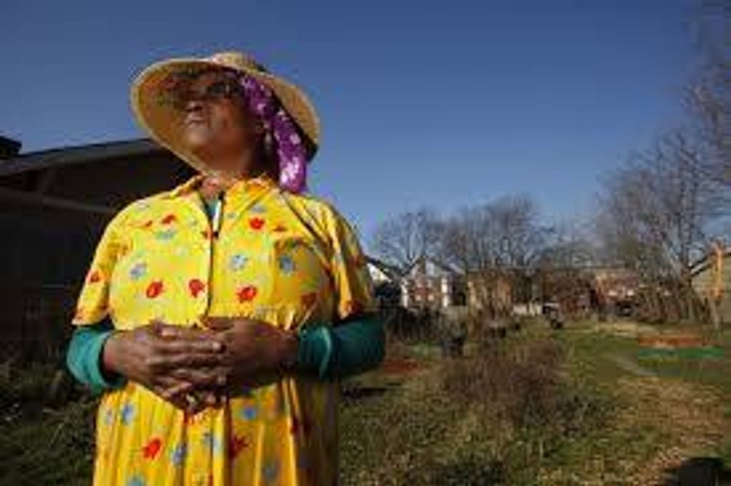 Lessolungo Blackwell Passmore