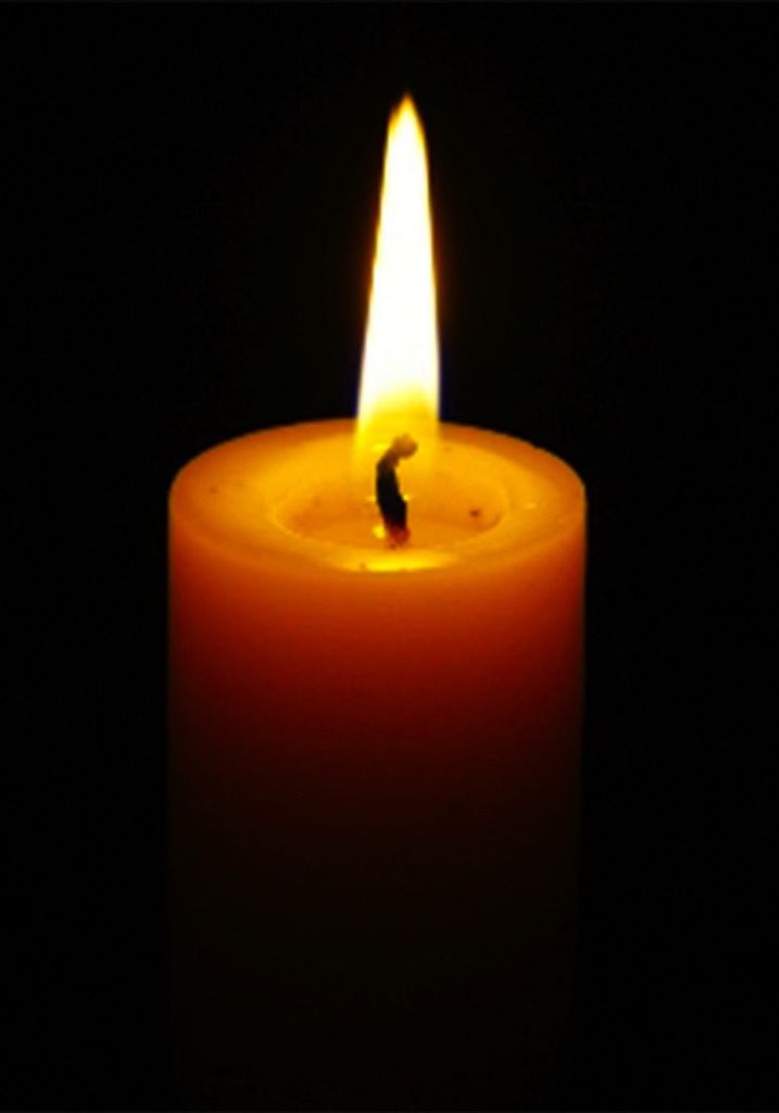Patricia L. Little Altherr